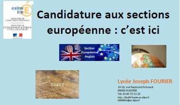 Candidature aux sections européennes